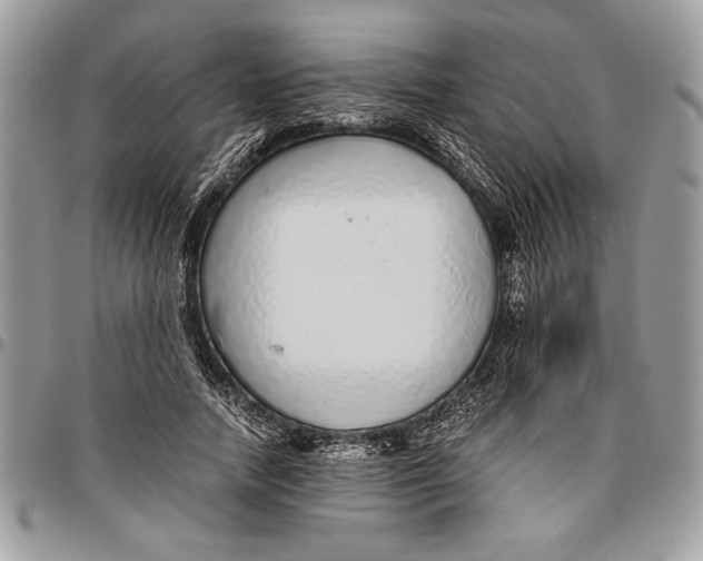 X0000096420738200802141634