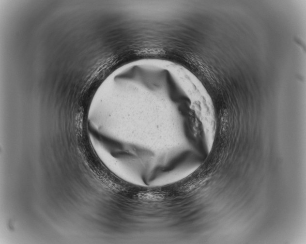 X0000096420739200802141634