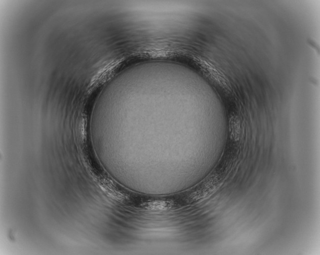 X0000096420740200802141634