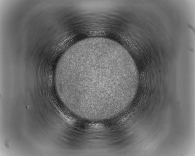 X0000096420741200802141634