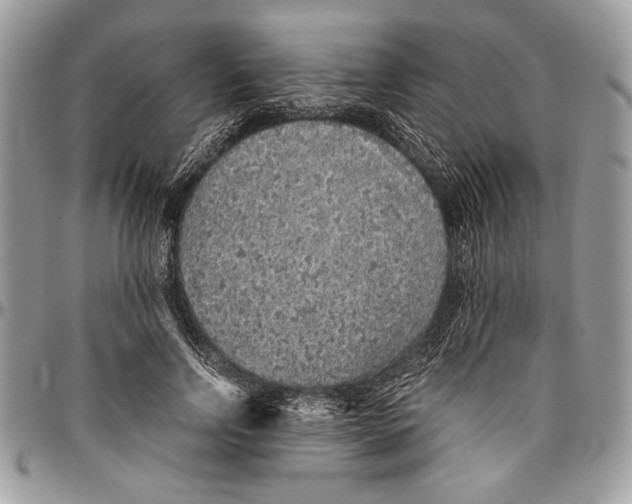 X0000096420742200802141634