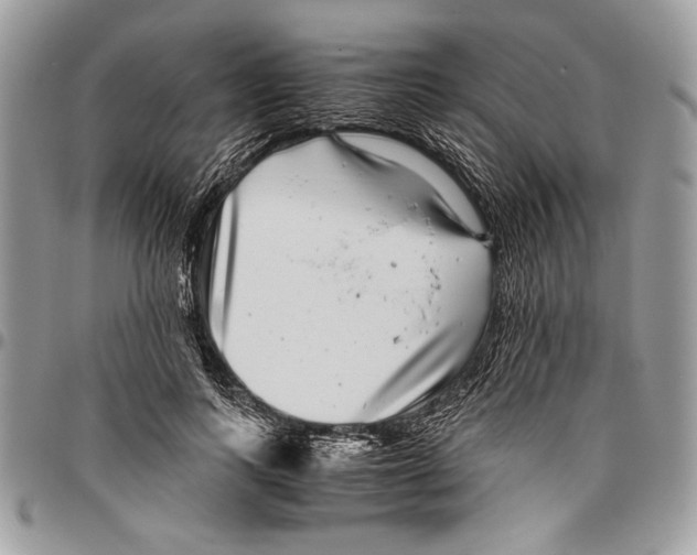 X0000096420743200802141634