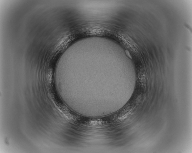 X0000096420744200802141634