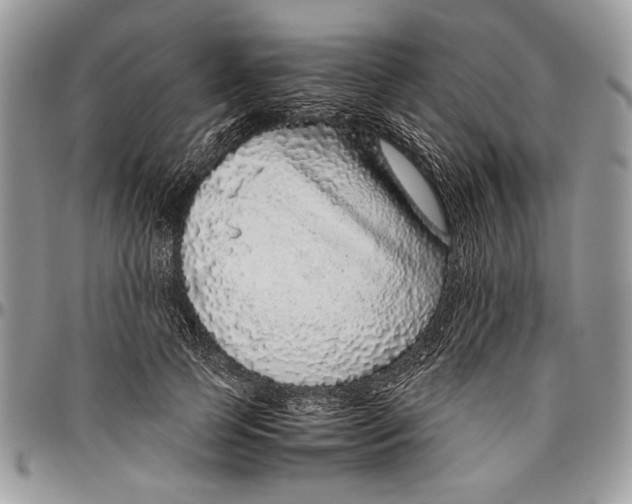 X0000096420745200802141634