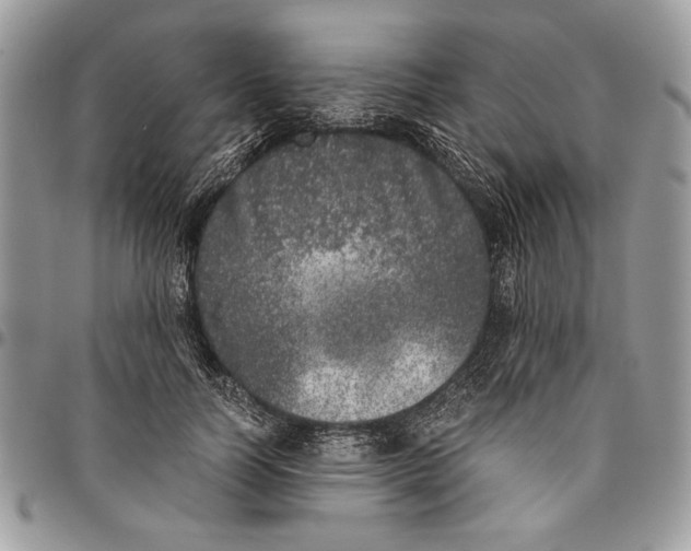 X0000096420746200802141634