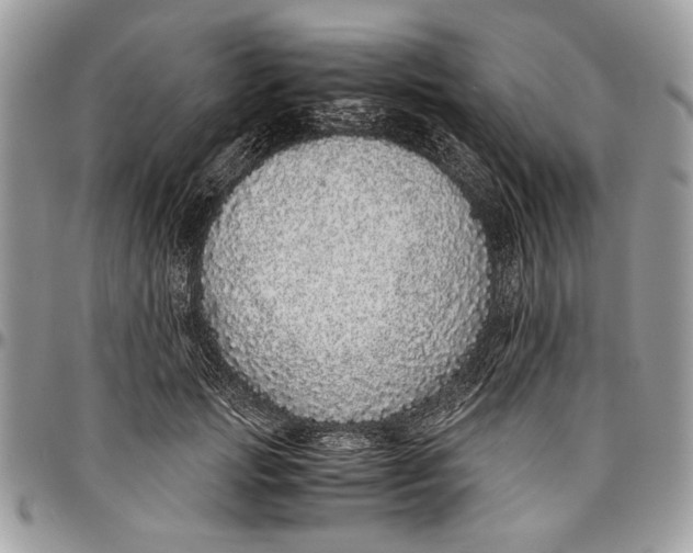 X0000096420749200802141634