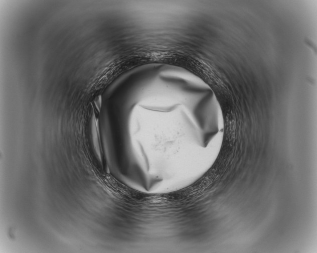 X0000096420750200802141634