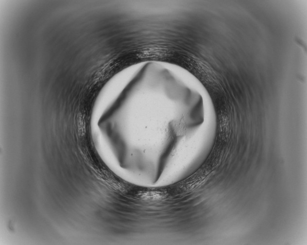 X0000096420751200802141634