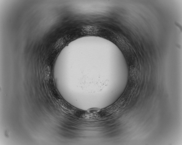 X0000096420752200802141634