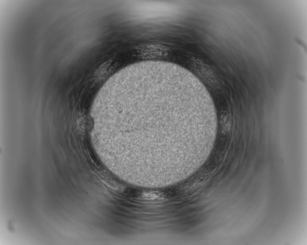 X0000096420753200802141634