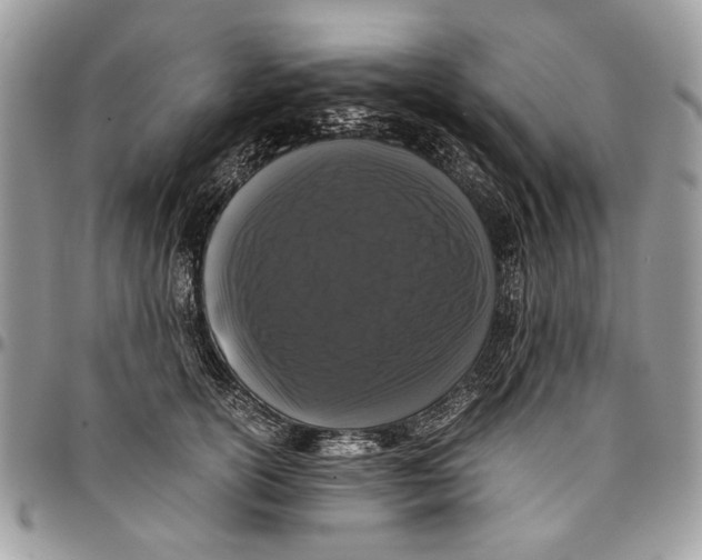 X0000096420754200802141634