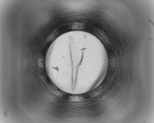 X0000096420755200802141634