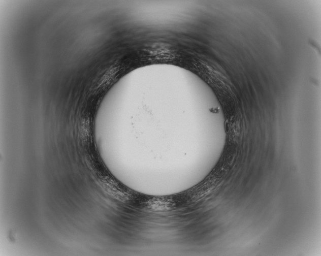 X0000096420756200802141634