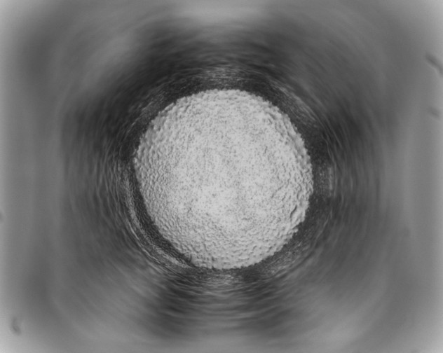 X0000096420757200802141634