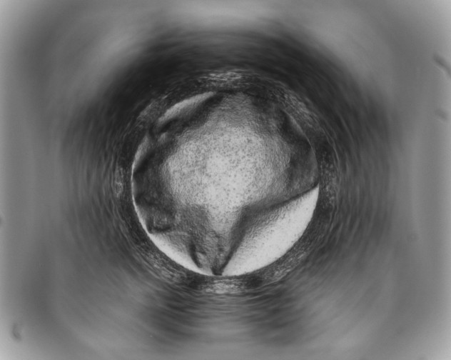 X0000096420758200802141634