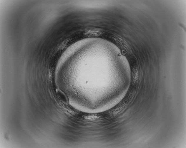 X0000096420759200802141634