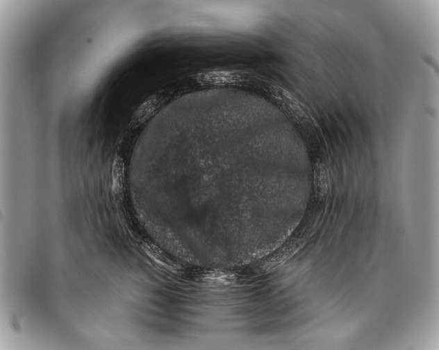 X0000096420760200802141634