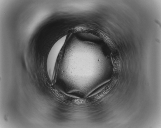 X0000096420762200802141634