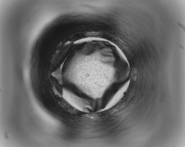 X0000096420763200802141634