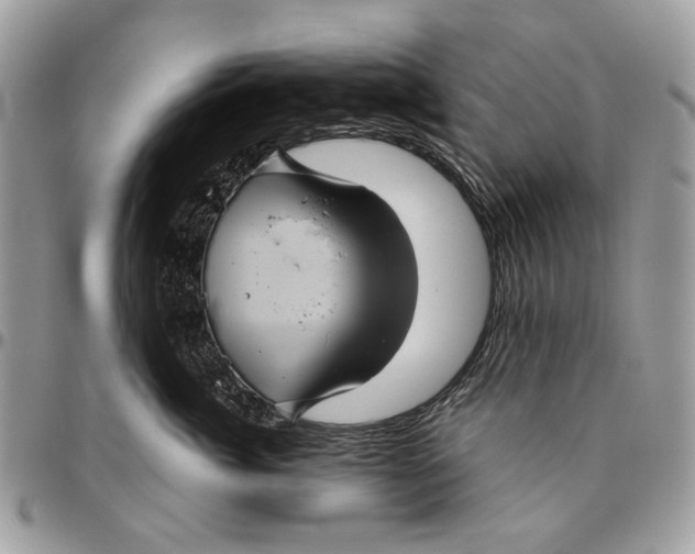 X0000096420764200802141634