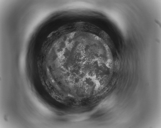 X0000096420765200802141634