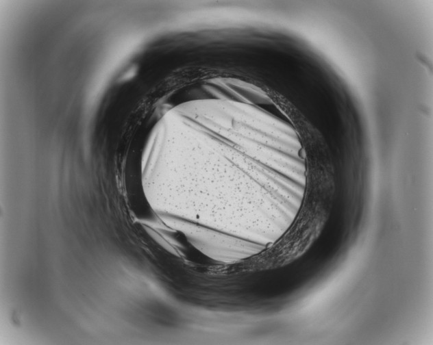 X0000096420766200802141634