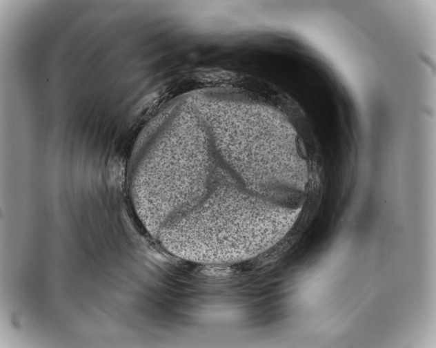 X0000096420767200802141634