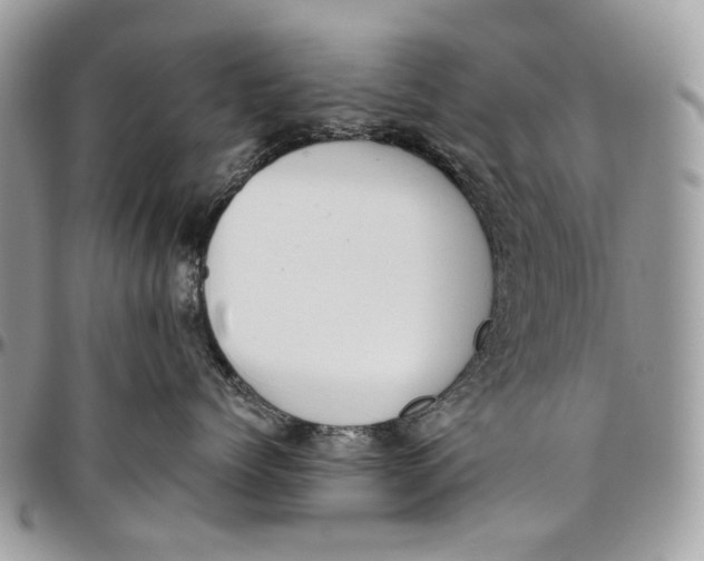 X0000096420768200802141634