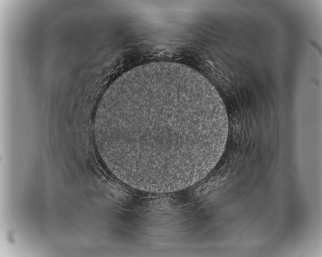 X0000096420769200802141633