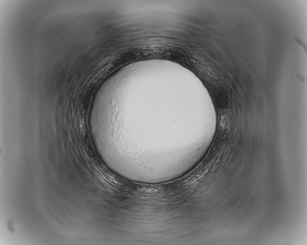 X0000096420771200802141633