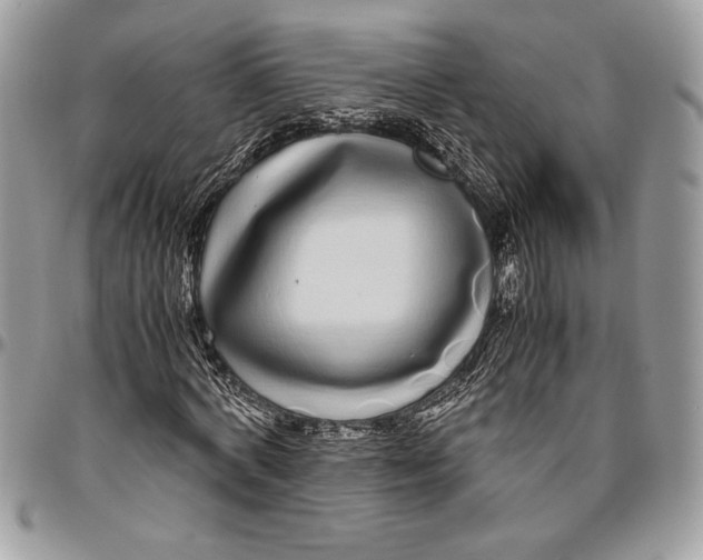 X0000096420772200802141633