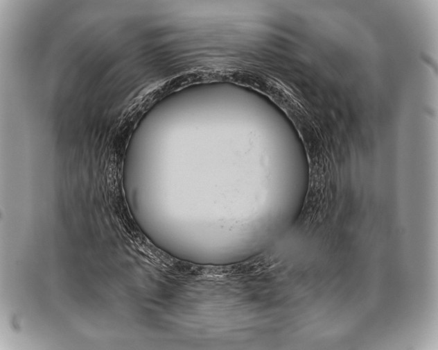 X0000096420773200802141633