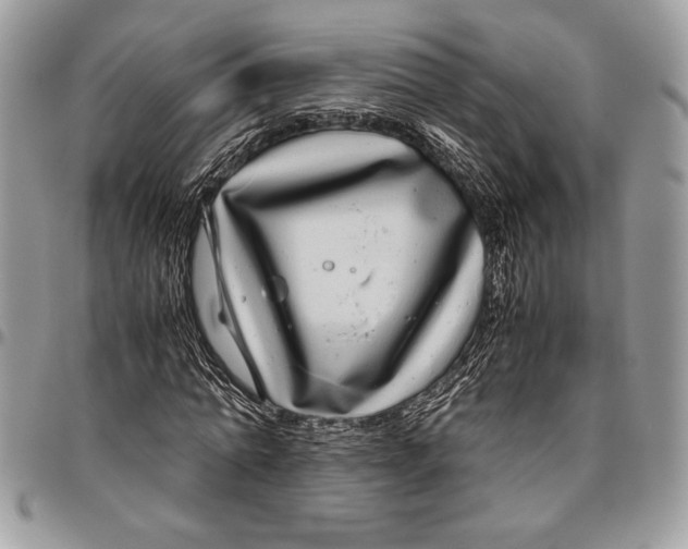 X0000096420774200802141633