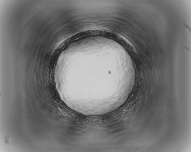 X0000096420775200802141633