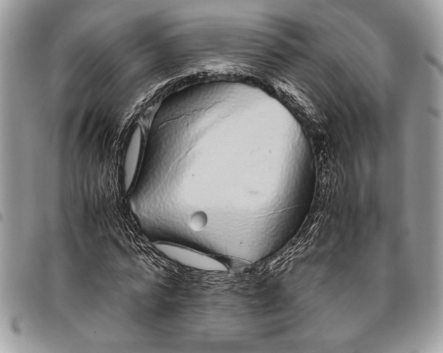 X0000096420776200802141633