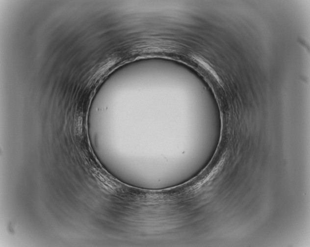 X0000096420777200802141633