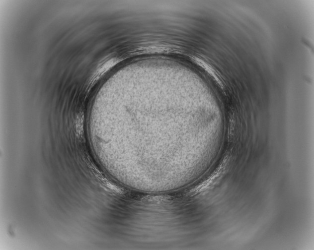 X0000096420778200802141633