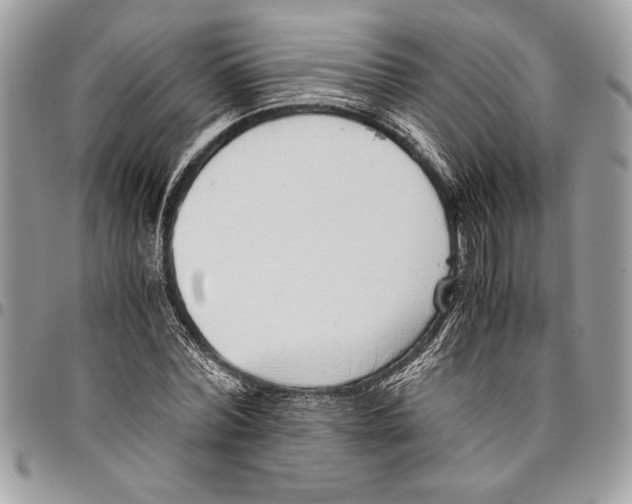 X0000096420780200802141633