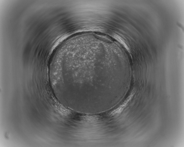 X0000096420781200802141633