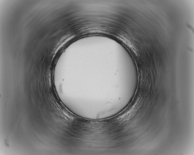 X0000096420782200802141633