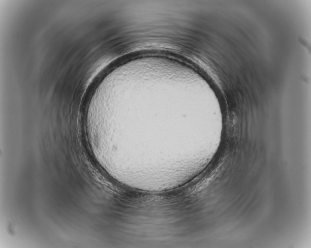 X0000096420783200802141633