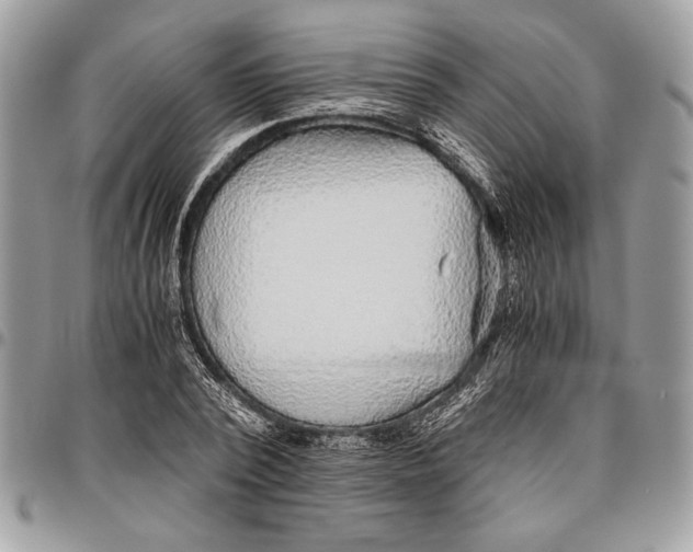 X0000096420784200802141633