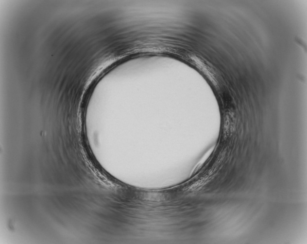 X0000096420787200802141633