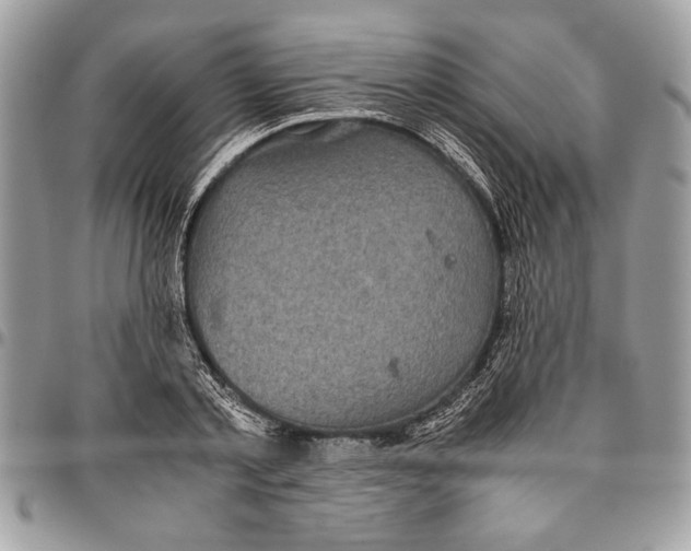 X0000096420789200802141633