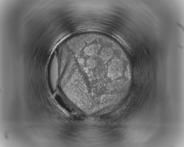 X0000096420790200802141633