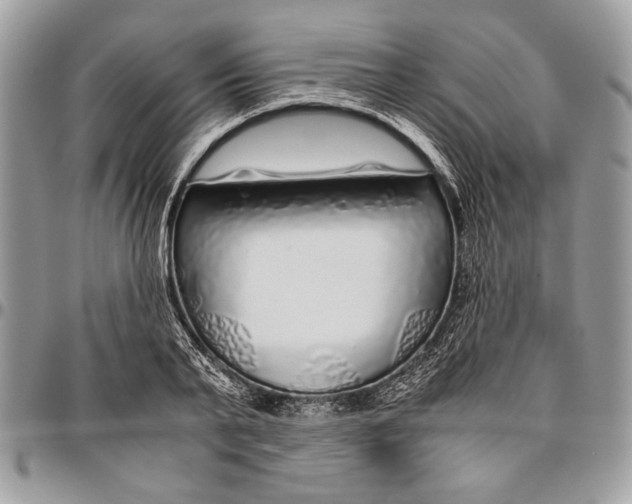 X0000096420791200802141633