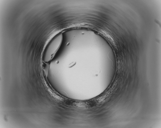 X0000096420792200802141633