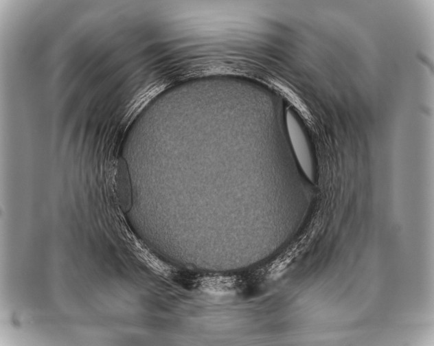 X0000096420793200802141633