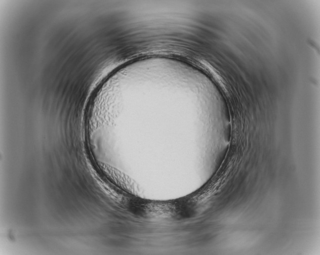 X0000096420795200802141633