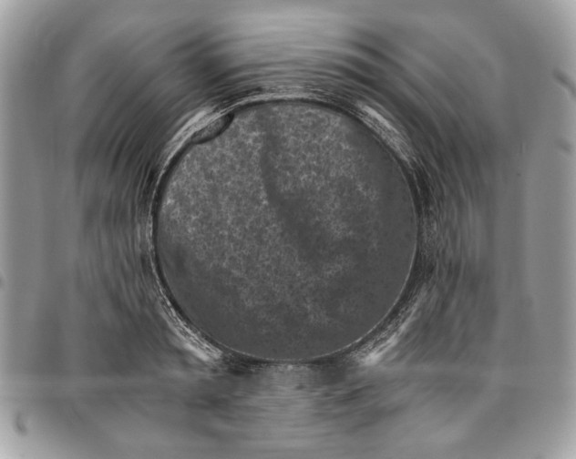 X0000096420797200802141633